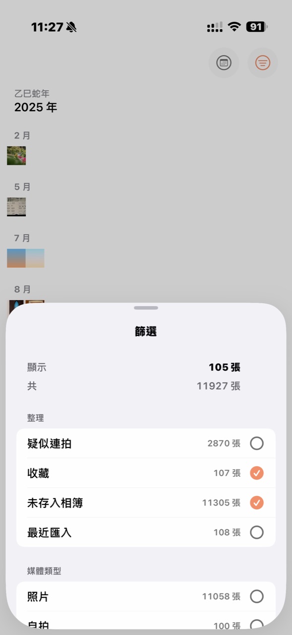 篩選:按類別點選